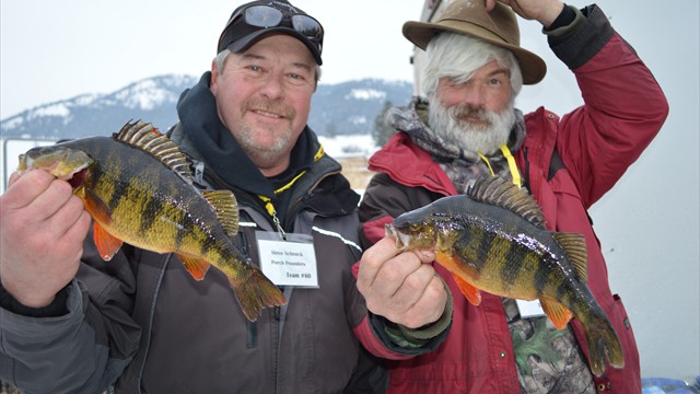Terry & Steve - Big Fish 1.56#